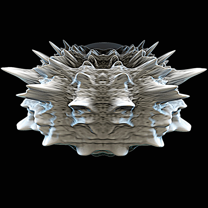 025Moenchsgrasmuecke