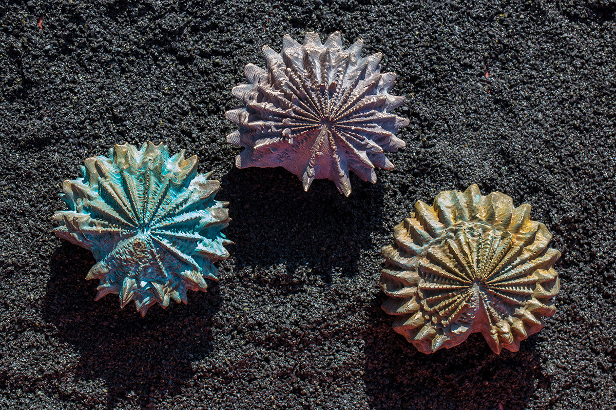 045Lark:Heidelerche_3Bronzen