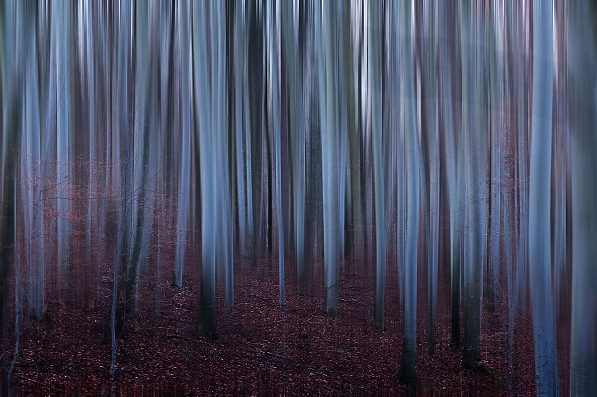 006vor-Einbruch-der-Dunkelheit-2