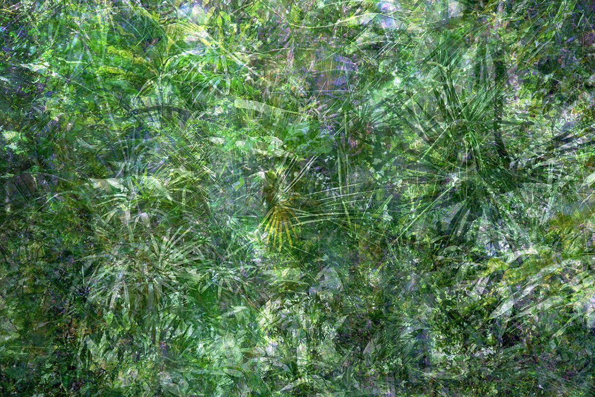 005Tropenhaus_Goldberg