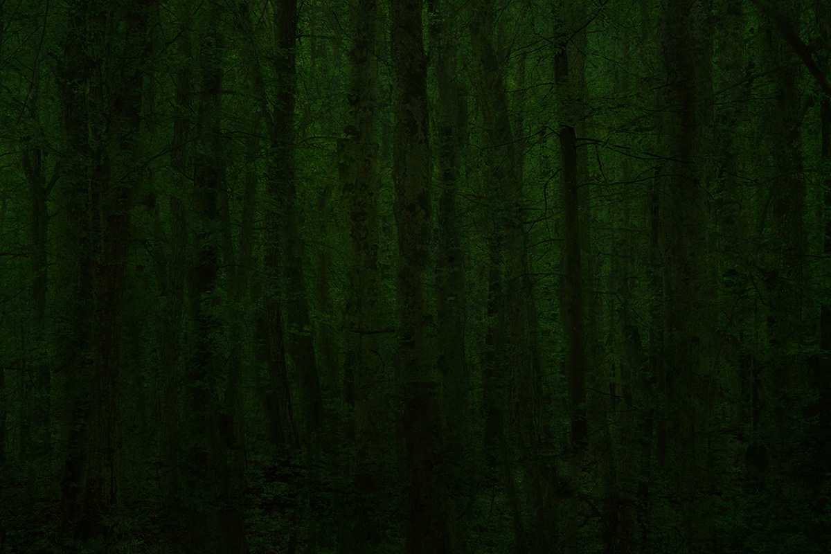 007projects_goldberg