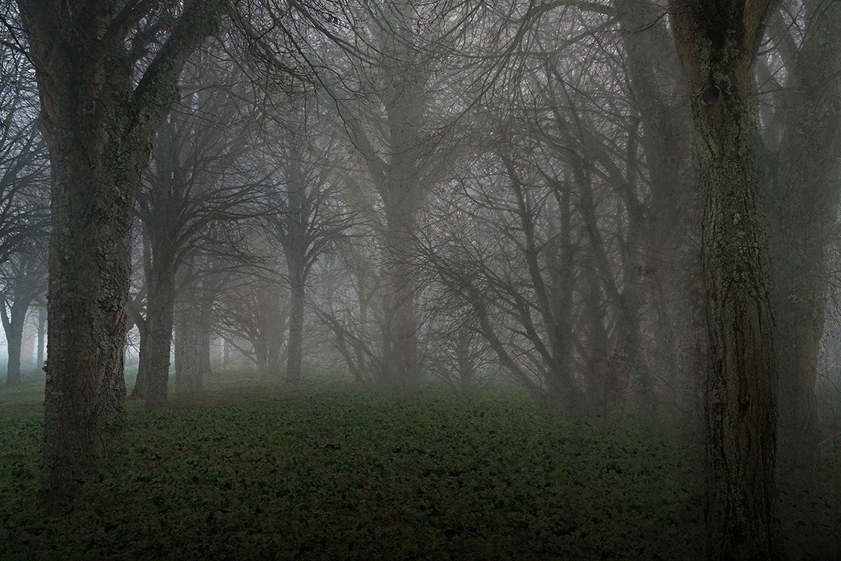 008projects_goldberg